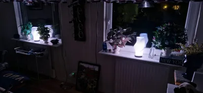 https://makerworld.bblmw.com/makerworld/model/499700/414514/ratings/c0909ad0-8832-11f0-9afe-0974d0be11fa.jpg
