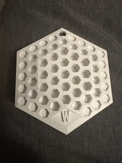 https://makerworld.bblmw.com/makerworld/model/503829/419333/ratings/40e26c70-1c1f-11f0-bbfb-b3cb80bd9e34.jpg