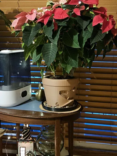 https://makerworld.bblmw.com/makerworld/model/50713/67600/ratings/b5f94b50-d54c-11f0-9acb-b7fd41554c93.jpg
