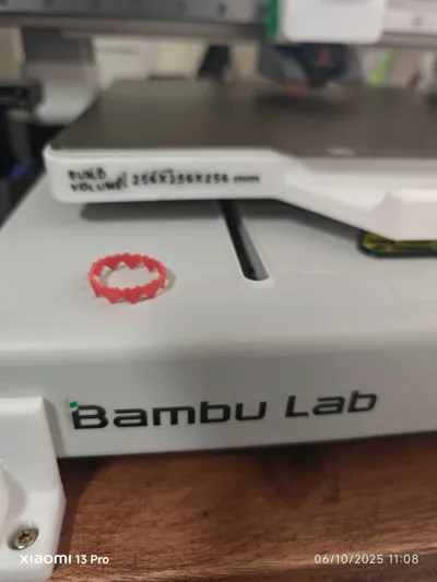 https://makerworld.bblmw.com/makerworld/model/508161/423953/ratings/1b2626b0-a294-11f0-ac7e-9bff720d975a.jpg