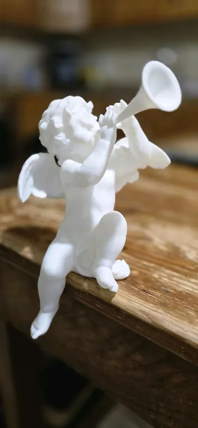 https://makerworld.bblmw.com/makerworld/model/508487/424340/ratings/80d85440-d4dc-11f0-9f44-d3719f72eed6.jpg