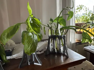 https://makerworld.bblmw.com/makerworld/model/510375/426435/ratings/7f7d4d10-b3eb-11f0-bc86-af948a51833b.jpg