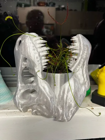https://makerworld.bblmw.com/makerworld/model/511258/430841/ratings/2c09a8f0-7394-11f0-9f3d-4329bf6269ca.jpg