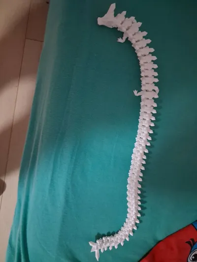 https://makerworld.bblmw.com/makerworld/model/511642/427707/ratings/0cb46be0-e0f7-11f0-b275-55a8846be203.jpg