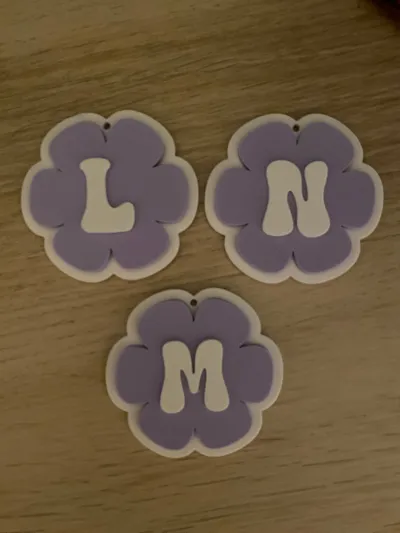 https://makerworld.bblmw.com/makerworld/model/513050/429132/ratings/d750a870-cc9b-11f0-80c7-a1246564f658.jpg