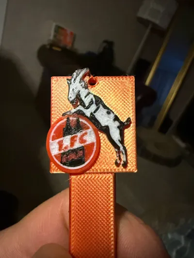 https://makerworld.bblmw.com/makerworld/model/515116/431346/ratings/7c3ce1c0-6d63-11f0-bd9b-9739ea6e0681.jpg