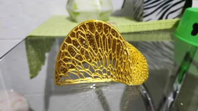 https://makerworld.bblmw.com/makerworld/model/516918/433170/ratings/413ede00-f97e-11f0-8a13-4f726de3cb30.jpg