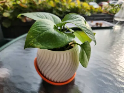 https://makerworld.bblmw.com/makerworld/model/518828/435153/ratings/fcfe00b0-89eb-11f0-a3ba-45052700e790.jpg