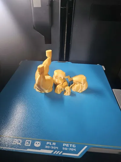 https://makerworld.bblmw.com/makerworld/model/520977/437447/ratings/728a3250-a5f7-11f0-8cd4-1ff5ce42f5dc.jpg