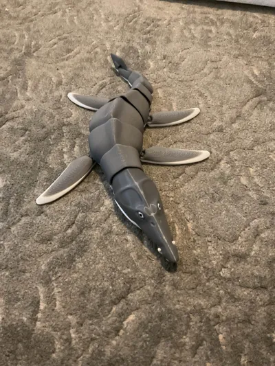 https://makerworld.bblmw.com/makerworld/model/521470/437997/ratings/010320d0-1d65-11f0-b0e8-6bb299447acf.jpg