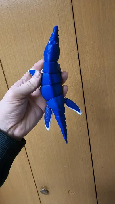 https://makerworld.bblmw.com/makerworld/model/521470/437997/ratings/ba6cc760-1112-11f0-aed4-afab33e4b92c.jpg