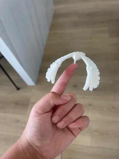 https://makerworld.bblmw.com/makerworld/model/521610/442612/ratings/b76b2b00-4566-11f0-b649-1fc7f9861745.jpg