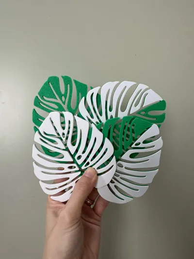 https://makerworld.bblmw.com/makerworld/model/524016/442805/ratings/cfa73140-9d0a-11f0-8a1f-53c3588ac924.jpg