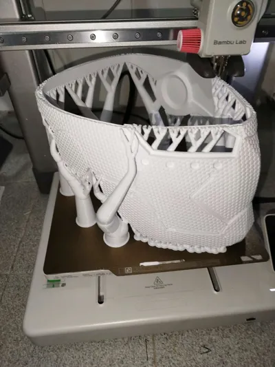 https://makerworld.bblmw.com/makerworld/model/525348/444778/ratings/b9fc21f0-23ef-11f0-93eb-8b039dbce289.jpg