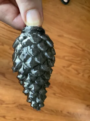 pine cone cache by davis.338lapua MakerWorld: Download Free 3D Models