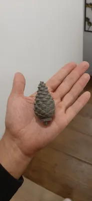 pine cone cache by davis.338lapua MakerWorld: Download Free 3D Models