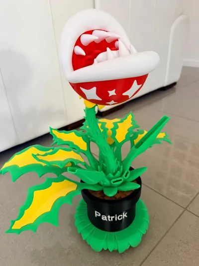 https://makerworld.bblmw.com/makerworld/model/525704/442834/ratings/ae7d1bc0-db1b-11f0-8646-c1a608f002a7.jpg
