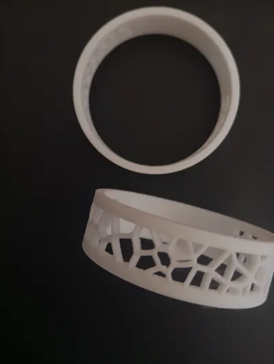 https://makerworld.bblmw.com/makerworld/model/525889/442760/ratings/638648c0-04b2-11f0-a5df-6b5a4036d5d1.jpg