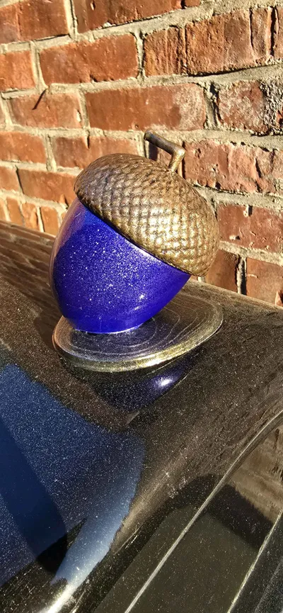 https://makerworld.bblmw.com/makerworld/model/526245/443131/ratings/6da0fec0-22c3-11f0-b0d5-05ff55939b90.jpg