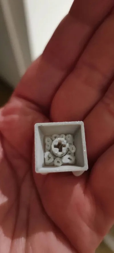 https://makerworld.bblmw.com/makerworld/model/527134/444208/ratings/185e1e80-b647-11f0-8f55-b906a23dcef1.jpg