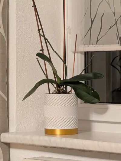 https://makerworld.bblmw.com/makerworld/model/527580/444647/ratings/be2bdbb0-f6ba-11ef-822d-b72471b941b2.jpg