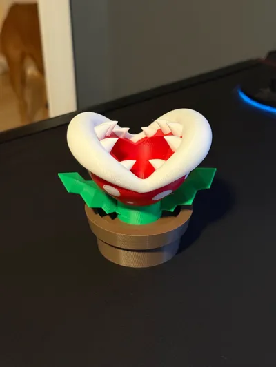 https://makerworld.bblmw.com/makerworld/model/528520/1031524/ratings/5733e760-1666-11f0-b377-2f32b14431ed.jpg