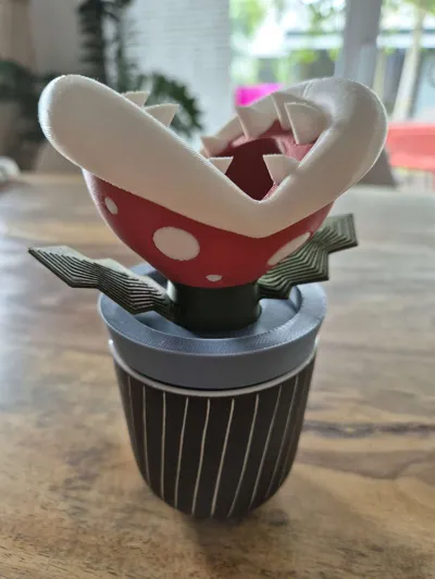 https://makerworld.bblmw.com/makerworld/model/528520/445615/ratings/aeef5e20-3ac0-11f0-8068-890fc80769da.jpg