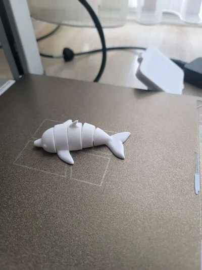 https://makerworld.bblmw.com/makerworld/model/531095/447923/ratings/b446ac20-3976-11f0-af1f-950cdde43da9.jpg