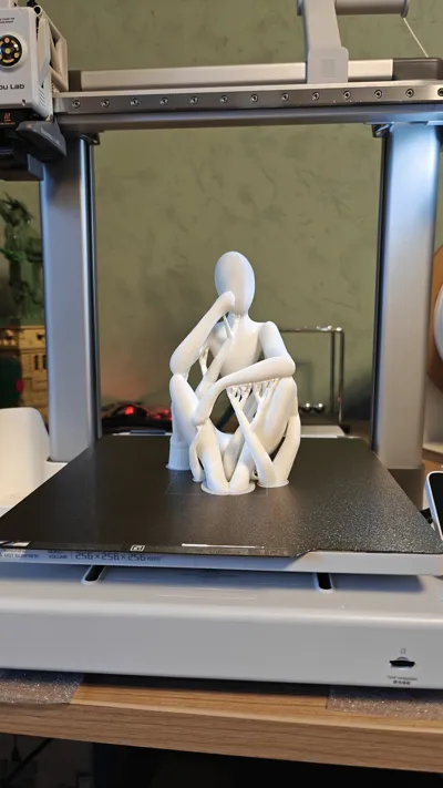 https://makerworld.bblmw.com/makerworld/model/534040/450901/ratings/627ba7e0-08d6-11f0-92fb-0f57946871c0.jpg