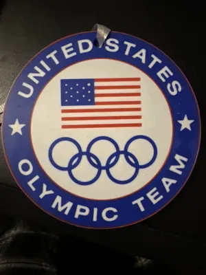 Team USA Olympic Logo - Free 3D Print Model - MakerWorld