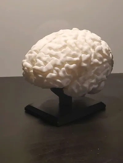 https://makerworld.bblmw.com/makerworld/model/53515/625795/ratings/2bd3bdd0-ca65-11f0-bfcf-8fcc2140aabd.jpg