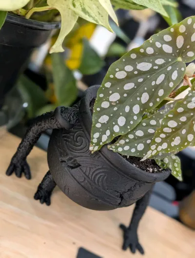 https://makerworld.bblmw.com/makerworld/model/536622/453554/ratings/82f0ea00-5285-11f0-ba83-35dea5033ad6.jpg