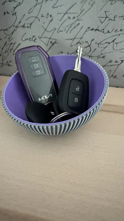 https://makerworld.bblmw.com/makerworld/model/537669/459664/ratings/b2b20db0-fd02-11ef-b1e2-cf69217c81a5.jpg