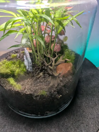 https://makerworld.bblmw.com/makerworld/model/538100/479398/ratings/205b80f0-3ef6-11f0-a46f-93284b02707b.jpg