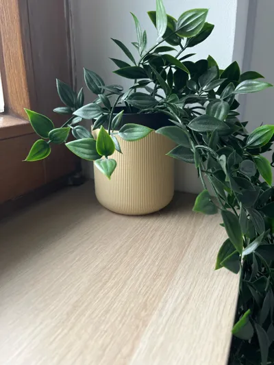 https://makerworld.bblmw.com/makerworld/model/540069/469651/ratings/2deac7c0-bd50-11f0-894d-c5924a674dff.jpg