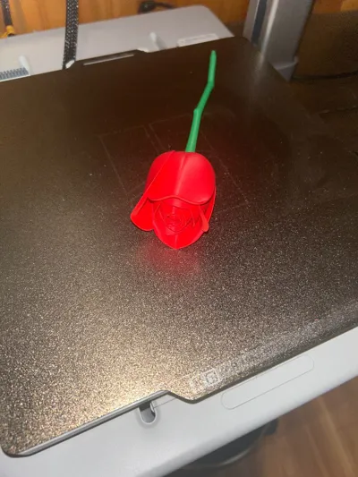 https://makerworld.bblmw.com/makerworld/model/541277/458790/ratings/48bb5ce0-4401-11f0-a400-9fbc8fcf26e4.jpg