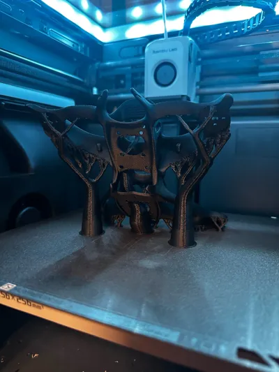 https://makerworld.bblmw.com/makerworld/model/541413/466821/ratings/15807970-14b6-11f0-b486-779fd57a2e0c.jpg