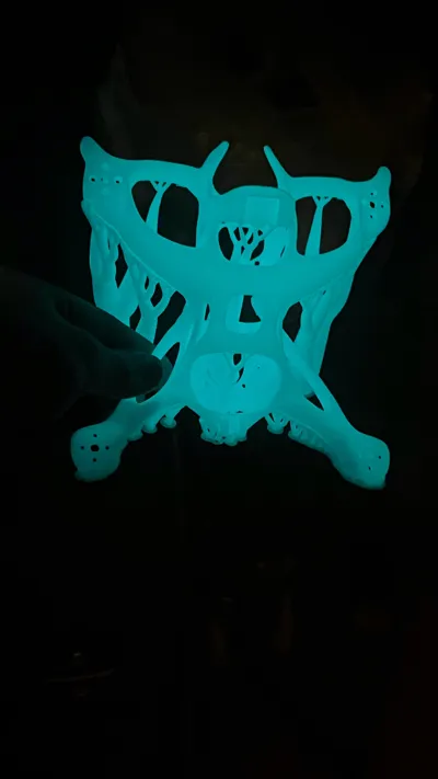 https://makerworld.bblmw.com/makerworld/model/541413/466821/ratings/210f6dc0-3368-11f0-a713-b1fcc709727e.jpg