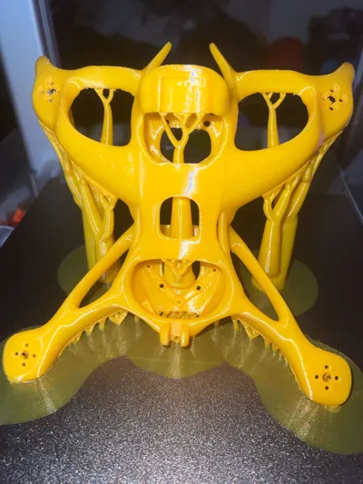 https://makerworld.bblmw.com/makerworld/model/541413/466821/ratings/fe8c88a0-3fec-11f0-9acf-a57b9c46b548.jpg