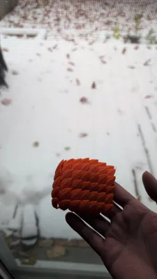 https://makerworld.bblmw.com/makerworld/model/541705/465617/ratings/2025-11-11_2fdc19ef659678.jpeg