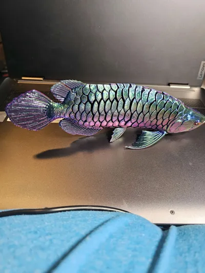 https://makerworld.bblmw.com/makerworld/model/542860/460551/ratings/47aae760-7c61-11f0-be13-4b7f485c0811.jpg