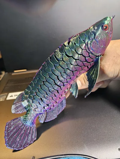 https://makerworld.bblmw.com/makerworld/model/542860/460551/ratings/47ab0e70-7c61-11f0-be13-4b7f485c0811.jpg