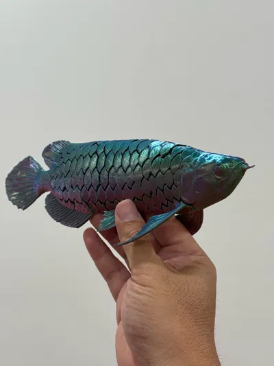 https://makerworld.bblmw.com/makerworld/model/542860/826157/ratings/65d04440-b7a5-11f0-81ed-af00aae93ddf.jpg
