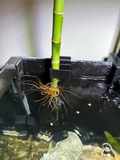https://makerworld.bblmw.com/makerworld/model/543165/460885/ratings/1dee6460-4e53-11f0-9c30-3362695167ef.jpg