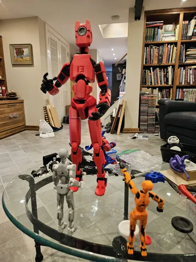 https://makerworld.bblmw.com/makerworld/model/543720/463487/ratings/43df51e0-1ae4-11f0-b759-1ffd57d1103d.jpg