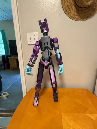 https://makerworld.bblmw.com/makerworld/model/543720/463487/ratings/6d142350-8dc7-11f0-b38c-3da55f2a8415.jpg