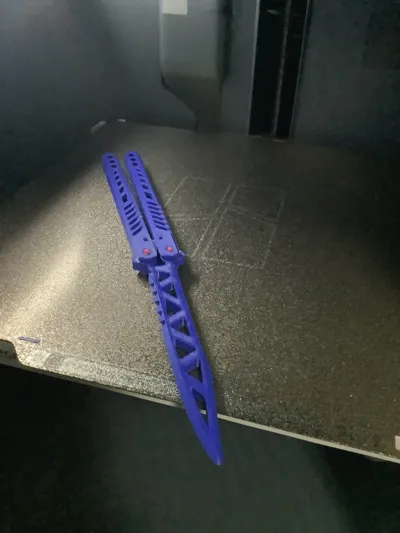 https://makerworld.bblmw.com/makerworld/model/543722/1785974/ratings/ca357200-e3a3-11f0-8b19-956b3525e50e.jpg