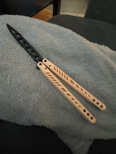 https://makerworld.bblmw.com/makerworld/model/543722/1785974/ratings/e4486520-a85d-11f0-93fe-49ab1c594bae.jpg