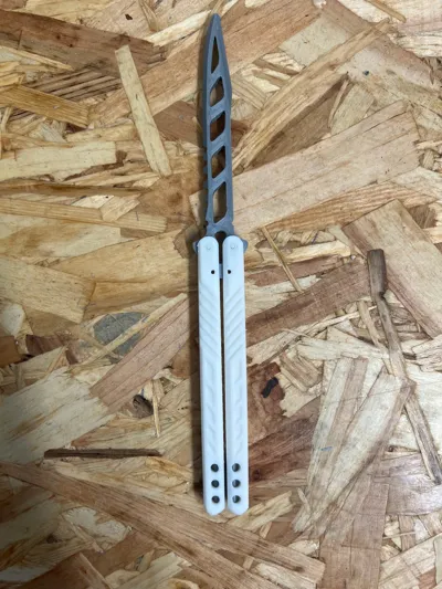 https://makerworld.bblmw.com/makerworld/model/543722/461482/ratings/671945c0-1946-11f0-8358-0903b8499ded.jpg
