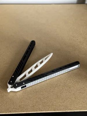 https://makerworld.bblmw.com/makerworld/model/543722/463411/ratings/03030c60-fce0-11ef-8cda-a77080f27d33.jpg